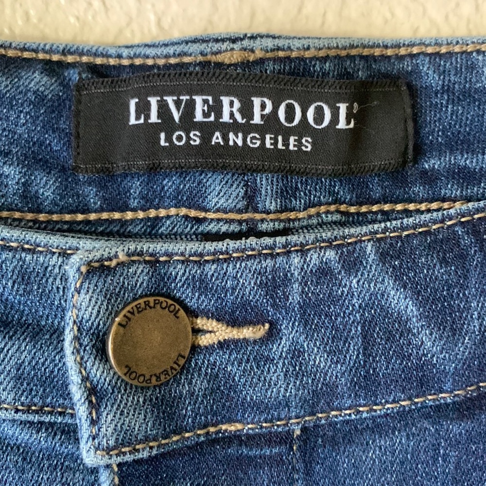 Liverpool Los Angeles High Rise A-Line Skirt Size 8/29 - Picture 8 of 10